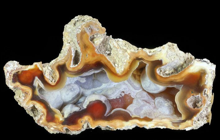 Unique, Druzy Agatized Fossil Coral Geode - Florida #66836